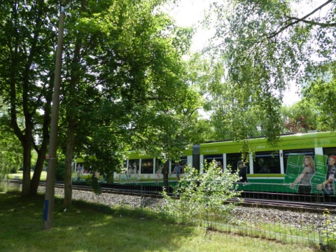 WGS Straßenbahn